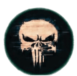 The Punisher
