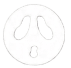 Scream